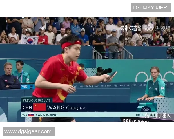 杭州乒乓球队在世界锦标赛中的默契配合与战术分析