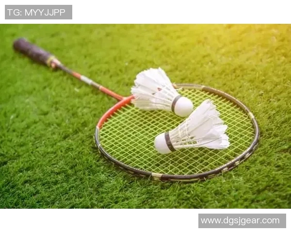 南京羽毛球队的整体压制解析与深度剖析羽毛球竞技的魅力与挑战